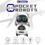 Pocket RC Robot