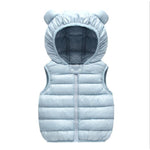 Vest Hooded Jacket Winter Autumn