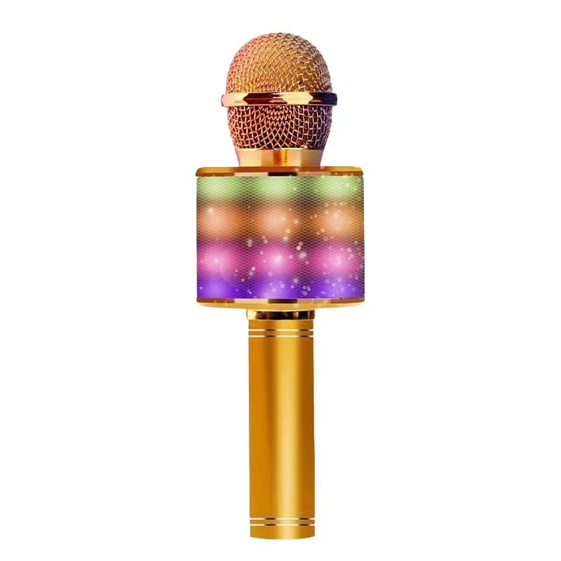 Handheld Karaoke Microphone for Kids