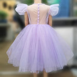 Elegant Princess Tulle Dress