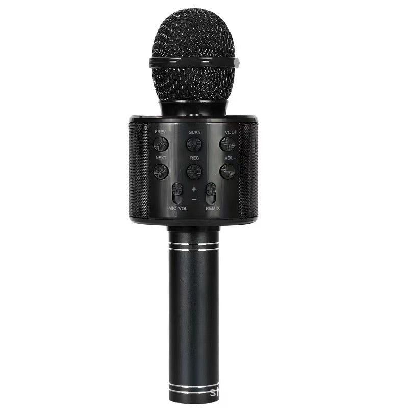 Handheld Karaoke Microphone for Kids